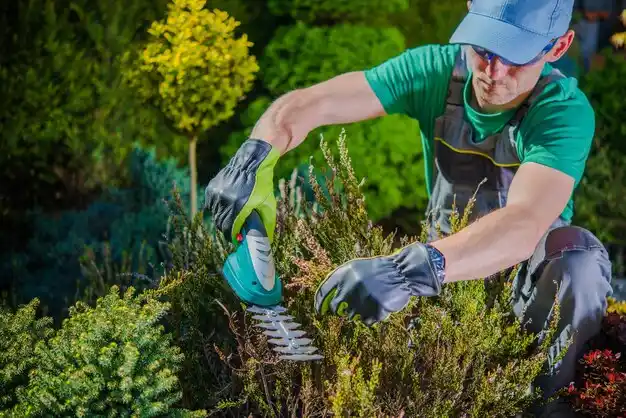 landscaping services Choudrant